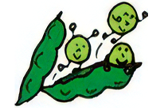 放課後等デイサービス<br>ソラマメくらぶ